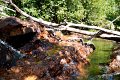 Cascades (48)